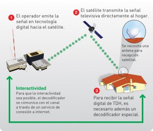 TDH-reflejo-300x257.jpg