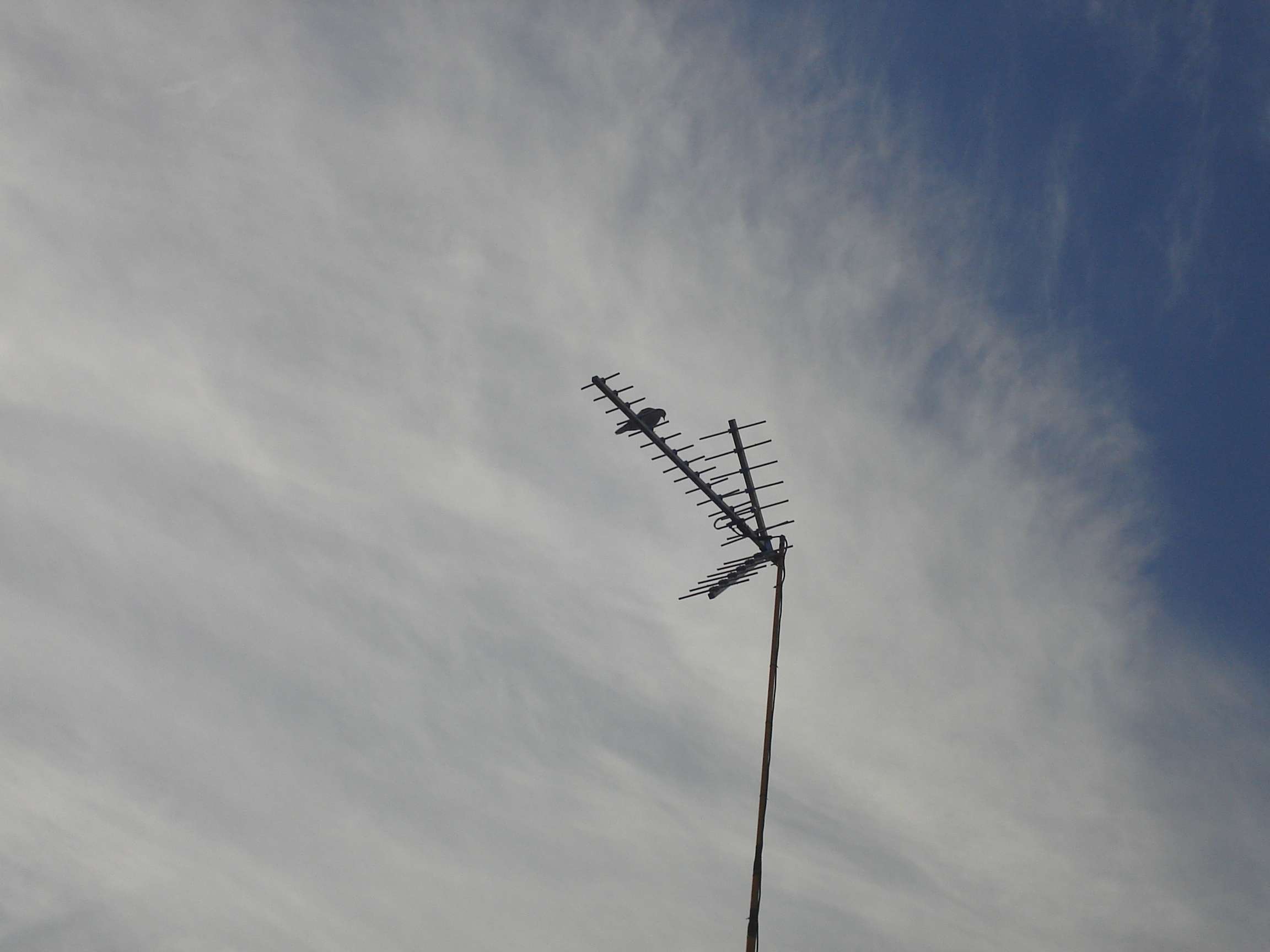 Antena con paloma incluida 005.jpg